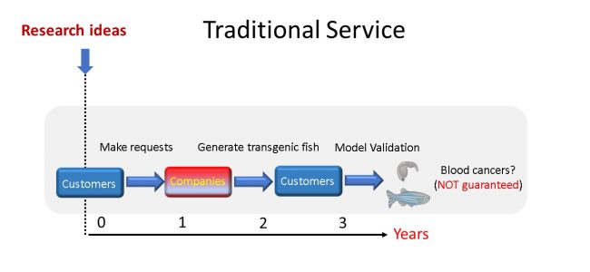 zeblast service model charts 1