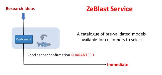 zeblast service model charts v2